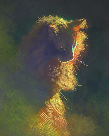 devin elle kurtz -- color & light studies