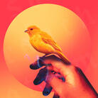 the hymn of my fellow passerine